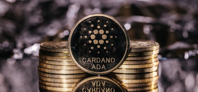 A gold coin with the Cardano logo