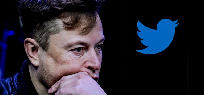 Image of Elon Musk deep in thought next to the blue bird logo of Twitter