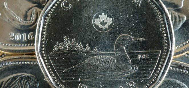  Close up of the loonie or Canadian dollar coin. The coin is shiny, dated in 2016, and depicting the traditional duck.