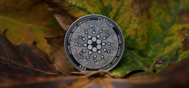 Cardano's ADA token illustration