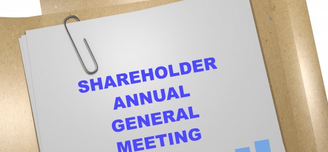 Shareholders AGM report