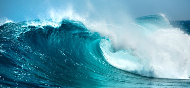 Photo of wave