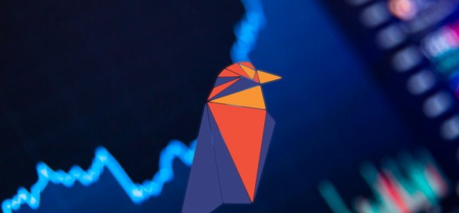 Ravencoin (RVN) logo, showing graphic of a colourful bird against a darkened financial graph