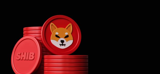Shiba inu coin projected growth the home page of mozila forex