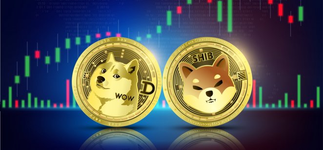 DOGE and SHIB tokens in front of a graph