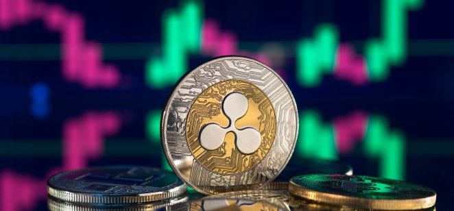 Who Owns The Most Ripple XRP Holders