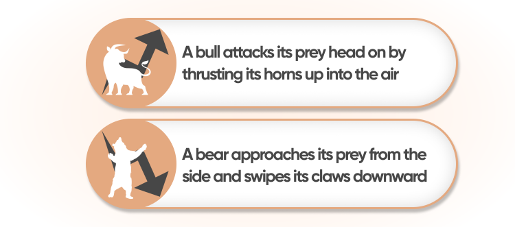 bears vs bulls
