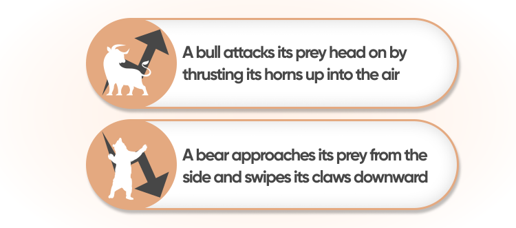 Understanding the Psychology of a Bear Attack