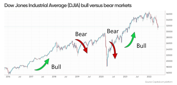 Bull vs. bear crypto market: What's the difference and how to