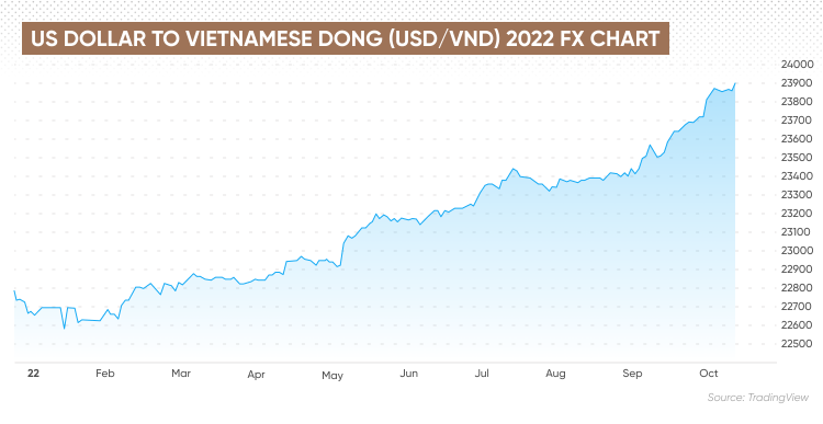 USD/VND Forecast  Will USD/VND Go Up or Down?