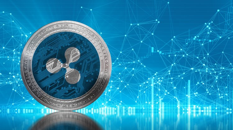 valoarea zilnică de tranzacționare bitcoin robot de tranzacționare valutară gratuit