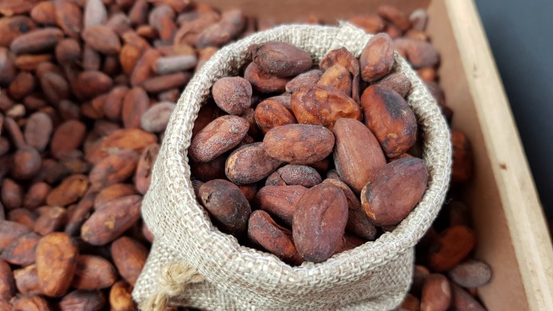 Cocoa price prediction: Third-party target