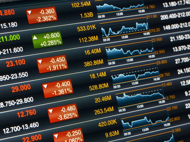 cotton traders bolsa