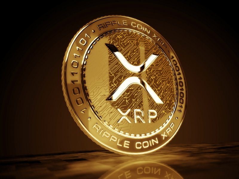 The Future of XRP: What to Expect in the Next 5 Years XRP News