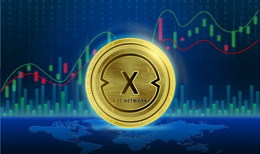 Xdc network 