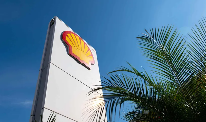 Shell logo displayed on a tall company sign beside palm trees under a clear blue sky, representing the global energy company. 