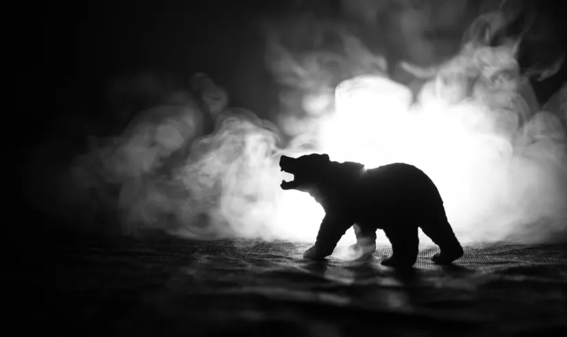 A photograph of a bear in silhouette