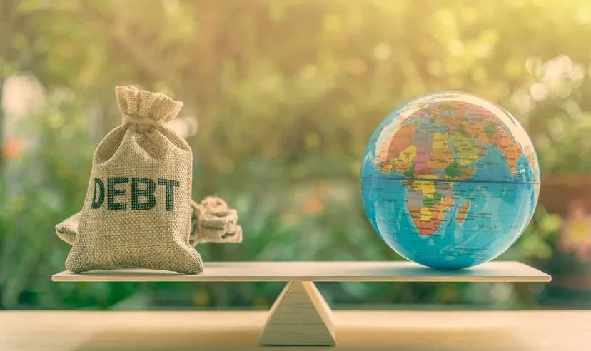 government debt government debt