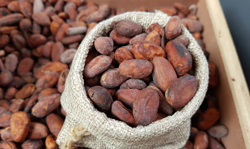 Cocoa price prediction: Third-party target