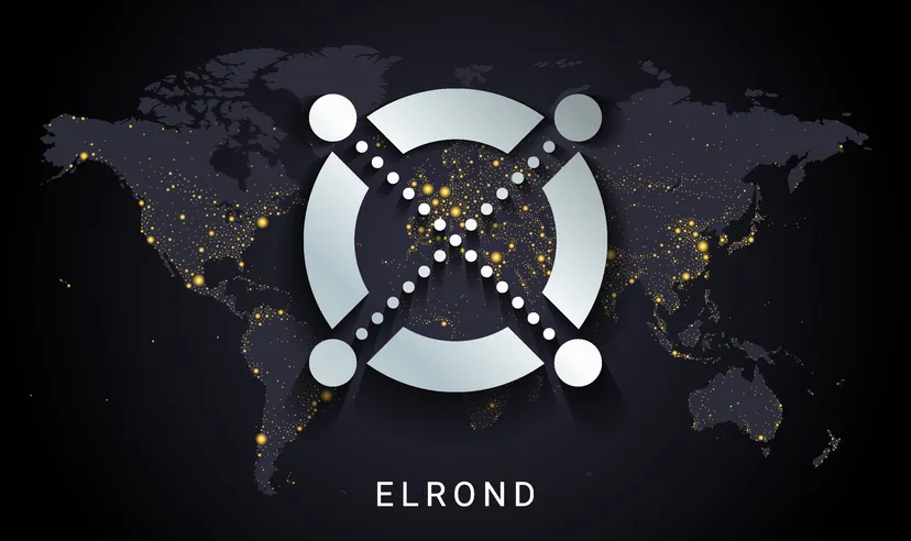 Elrond crypto digital payment system blockchain concept. Cryptocurrency isolated on earth night lights world map background. Vector illustration