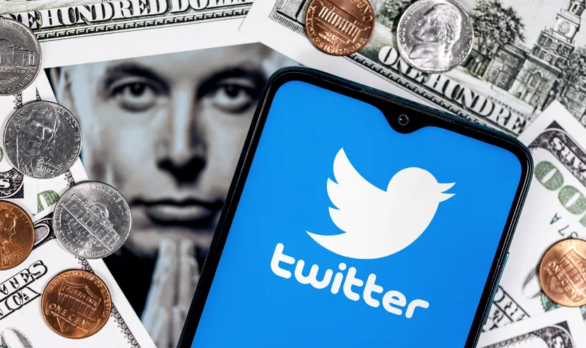 Twitter shareholders: Does Elon Musk own the most TWTR stock? Twitter logo, Elon Musk
