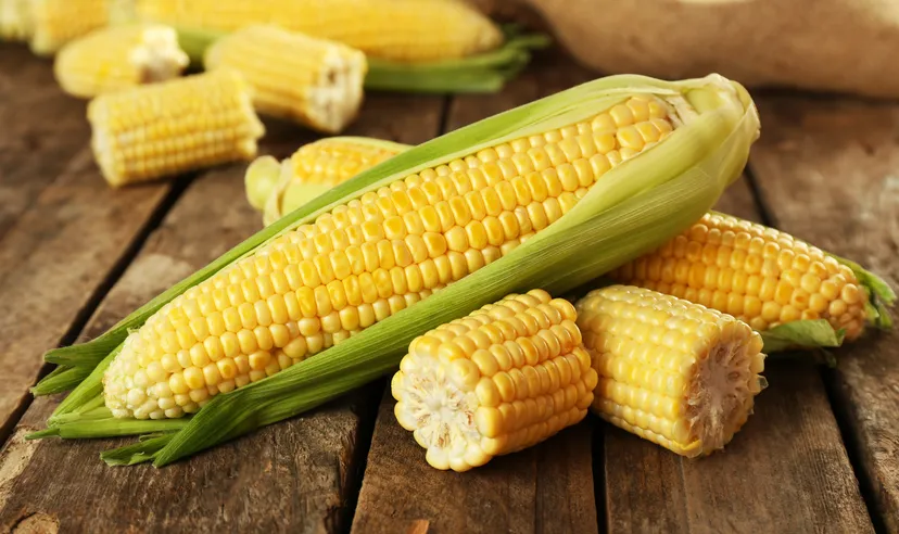 Image of several corn cobs on a wooden surface