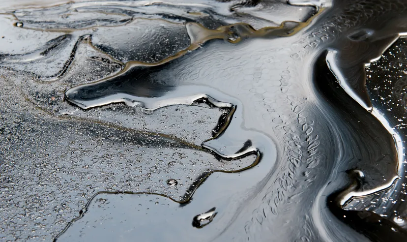 4 major types of crude oil