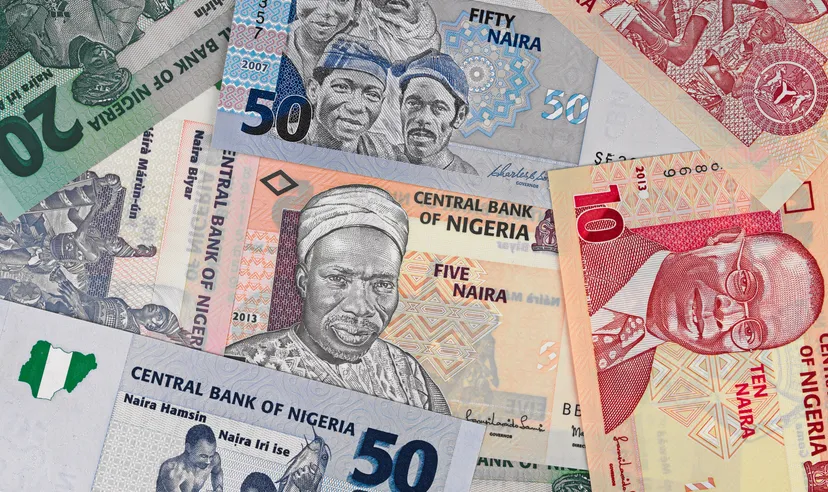 Nigeria money, heap of various naira banknotes, African nigerian currency