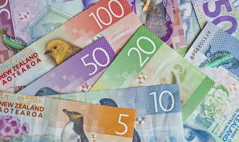 Pile of New Zealand currency laying flat