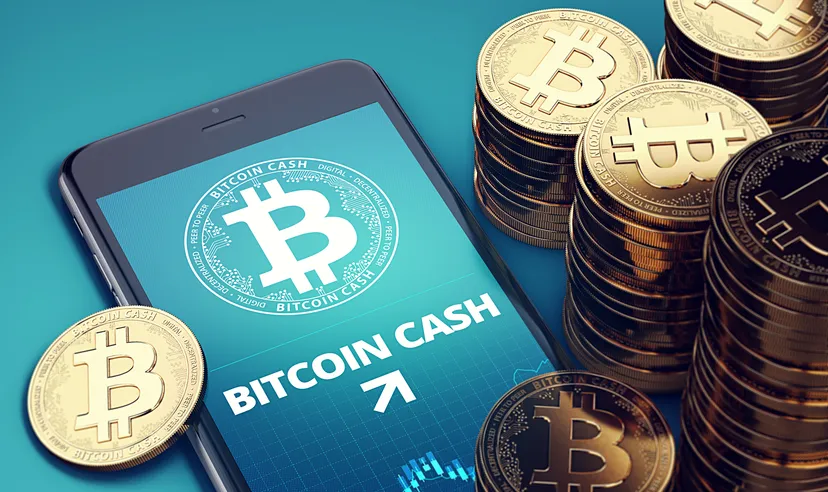 Bitcoin Cash price prediction 2025-2050: Third-party BCH insights