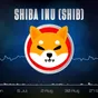 Representation of a shiba inu (SHIB) token featuring a cartoon dog&rsquo;s face