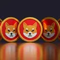 5 shiba inu crypto coins seen from several different angles