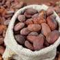 Cocoa price forecast: Ghana-Ivory Coast pricing deal