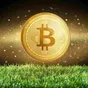 Bitcoin dopo il crollo: perché segue i mercati e come gestire l'investimento oggi