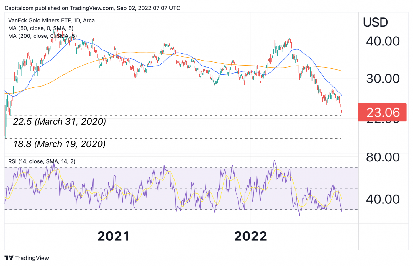 VanEck Gold Miners ETF: Why Has It Nearly Halved In Value Since April?