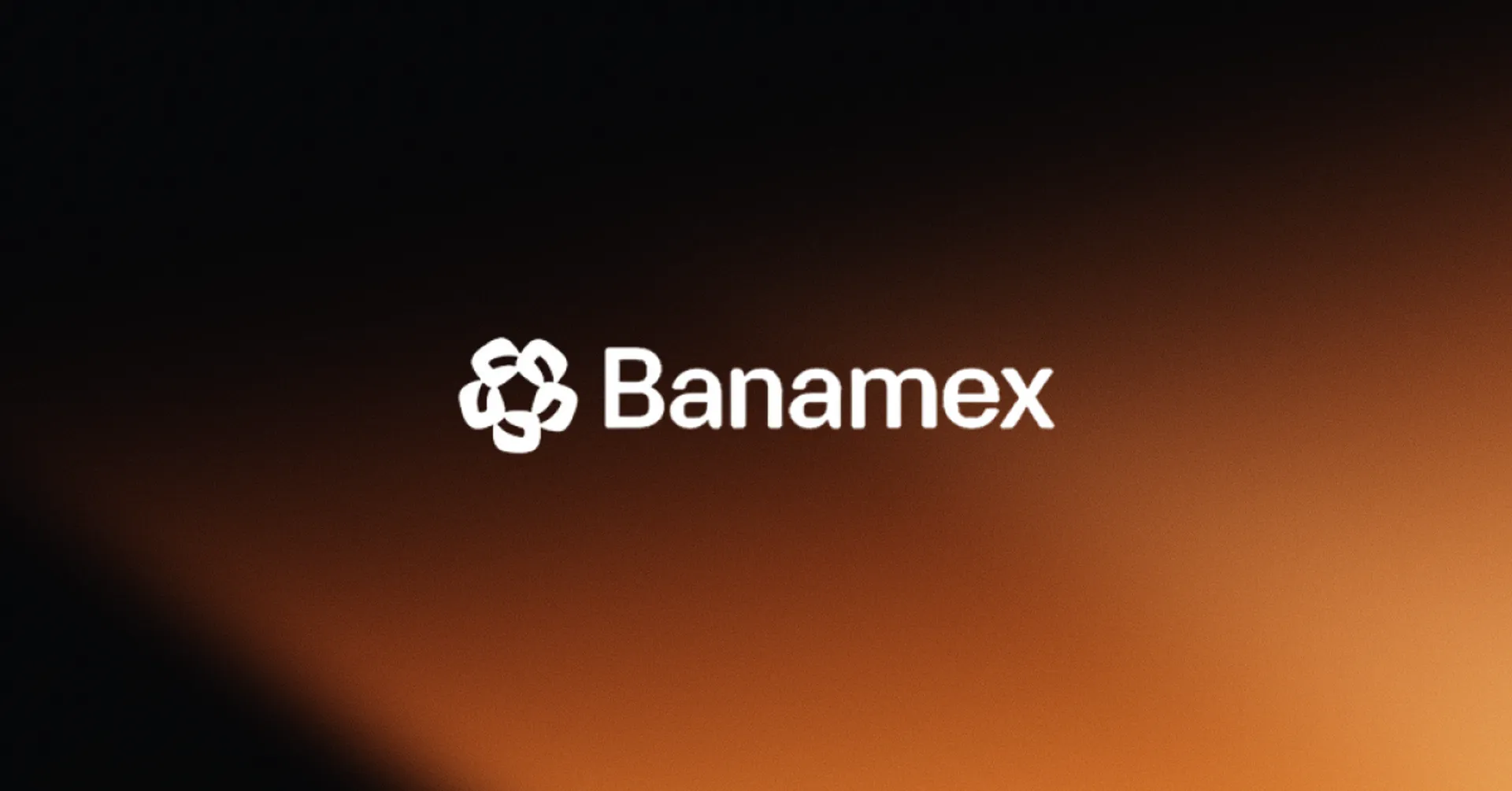 Banamex IPO
