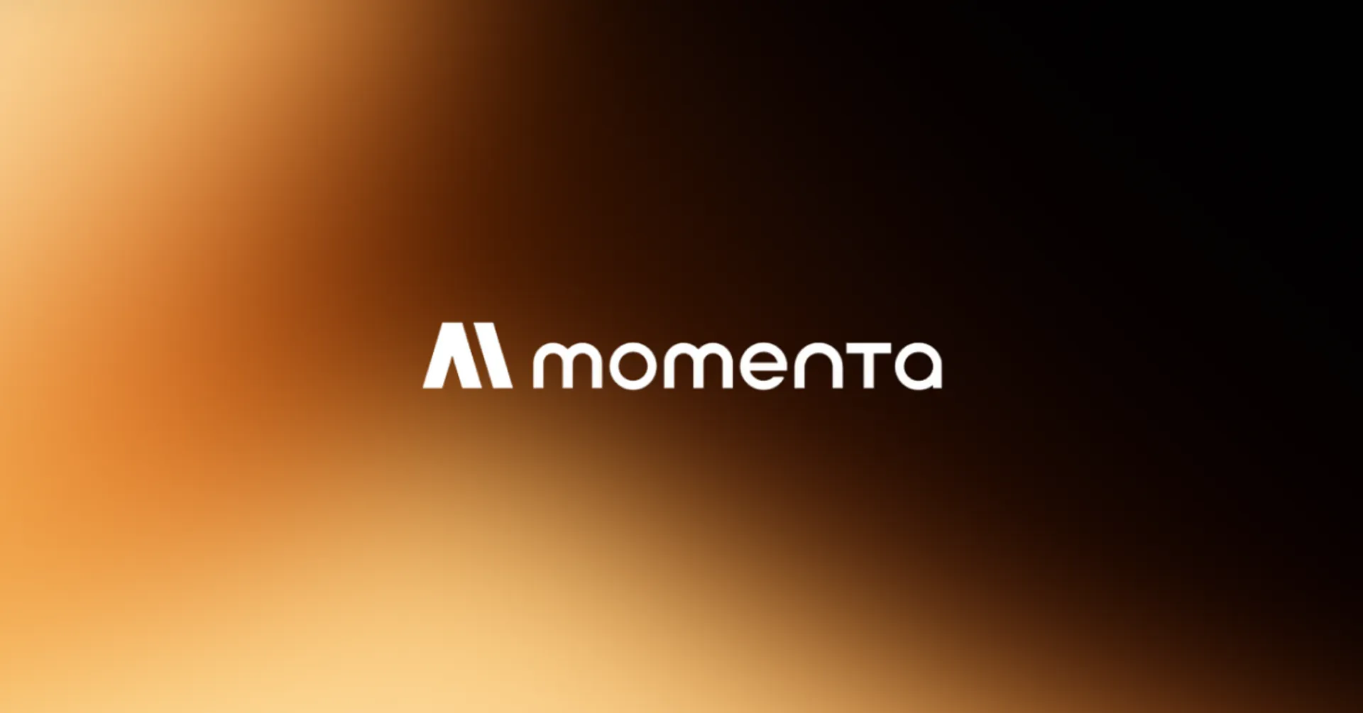 Momenta IPO