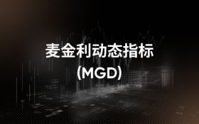 McGinley dynamic indicator 