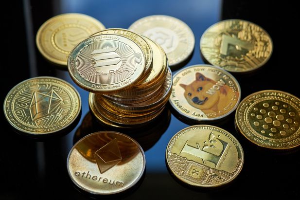 What are altcoins