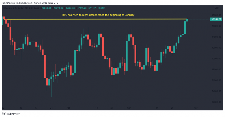 Bitcoin's performance in 2022