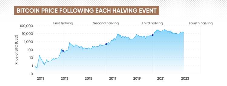 Bitcoin price following each halving event