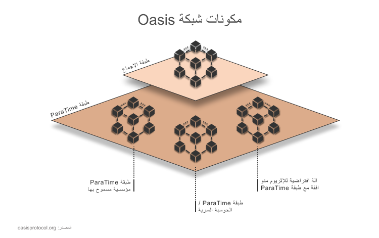 مكونات شبكة Oasis مكونات شبكة Oasis