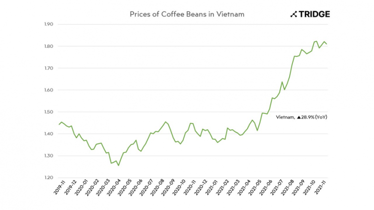 Robusta prices increase in Brazil due to dollar rise, weather in