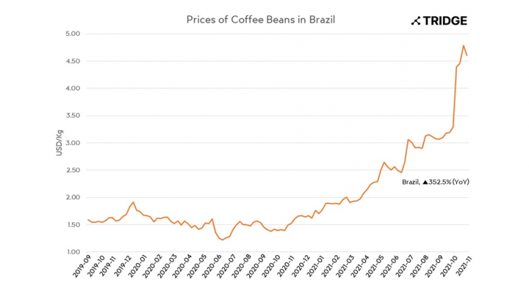 Robusta prices increase in Brazil due to dollar rise, weather in