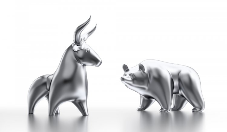 bull and bear