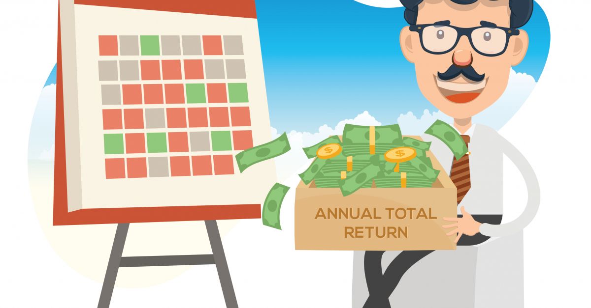 What is Annual total return