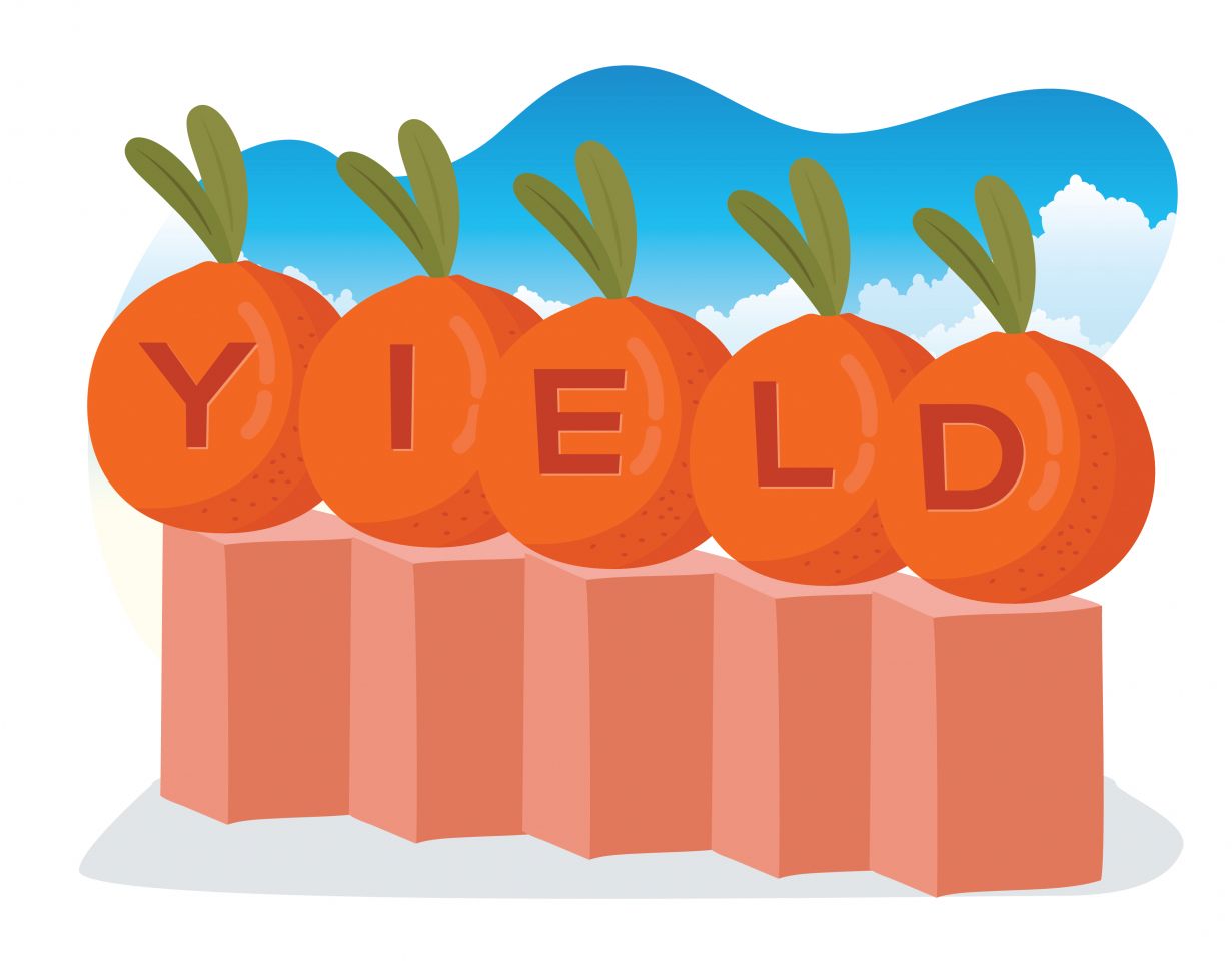 Convenience yield definition