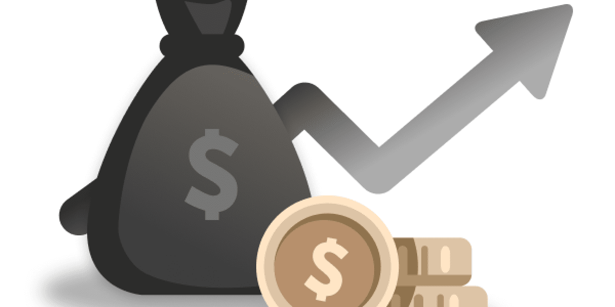 Understanding capital