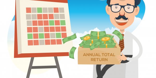 Annual total return