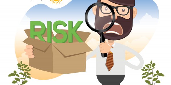 Foreign exchange risk